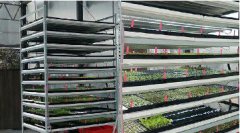 科技农业 安全蔬菜 植物工厂规划