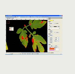 LA-S型植物图像分析仪系统