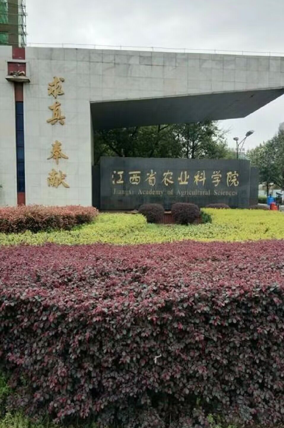 江西省农业科学院——嫁接机采购项目